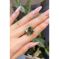 16.69 Ct. Tourmaline from Brazil Life Style