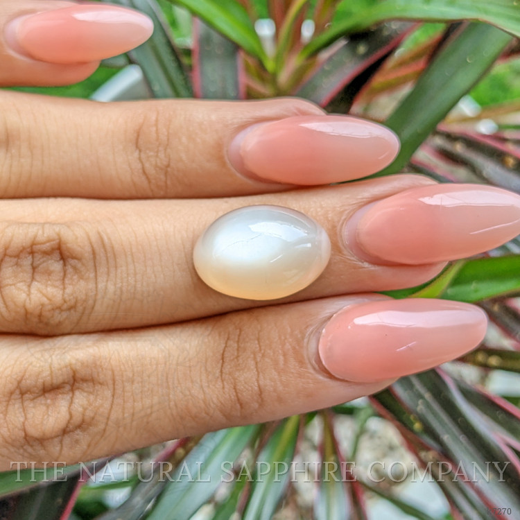 16.10 Ct. Cabochon Moonstone from Ceylon (Sri Lanka)