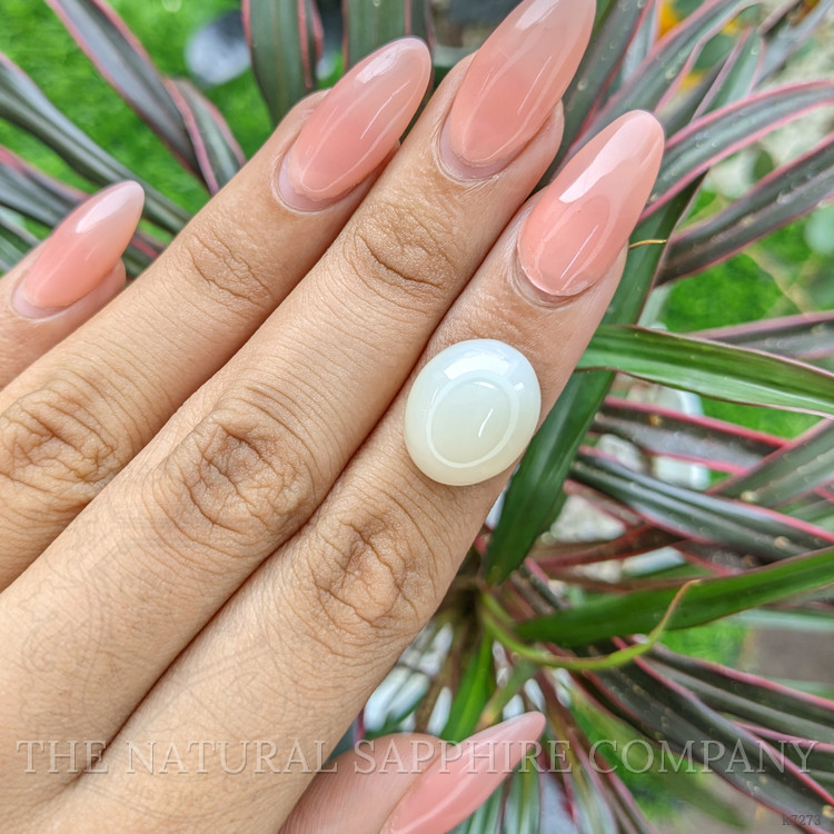 10.52 Ct. Cabochon Moonstone from Ceylon (Sri Lanka)