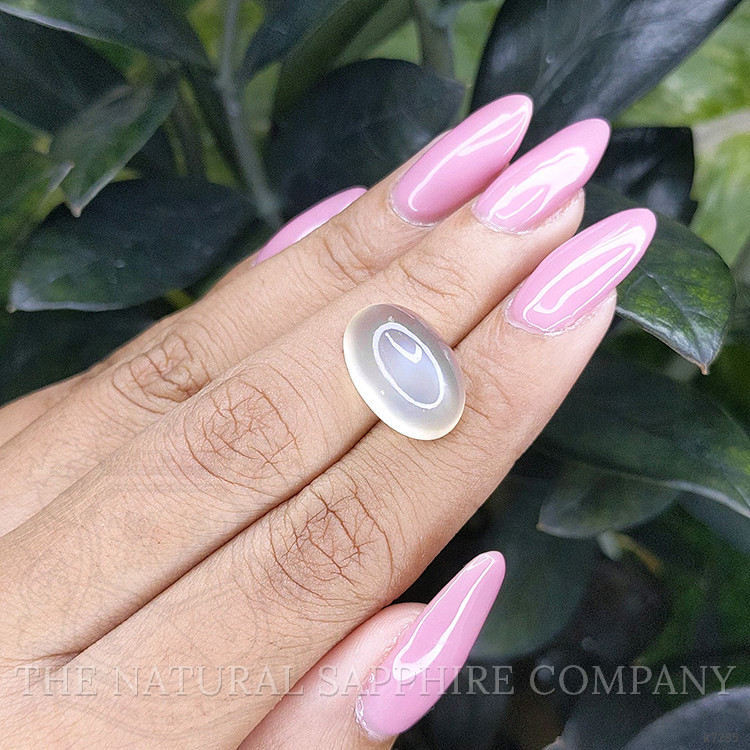 12.00 Ct. Cabochon Moonstone from Ceylon (Sri Lanka)