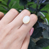 10.91 Ct. Cabochon Moonstone from Ceylon (Sri Lanka) Life Style