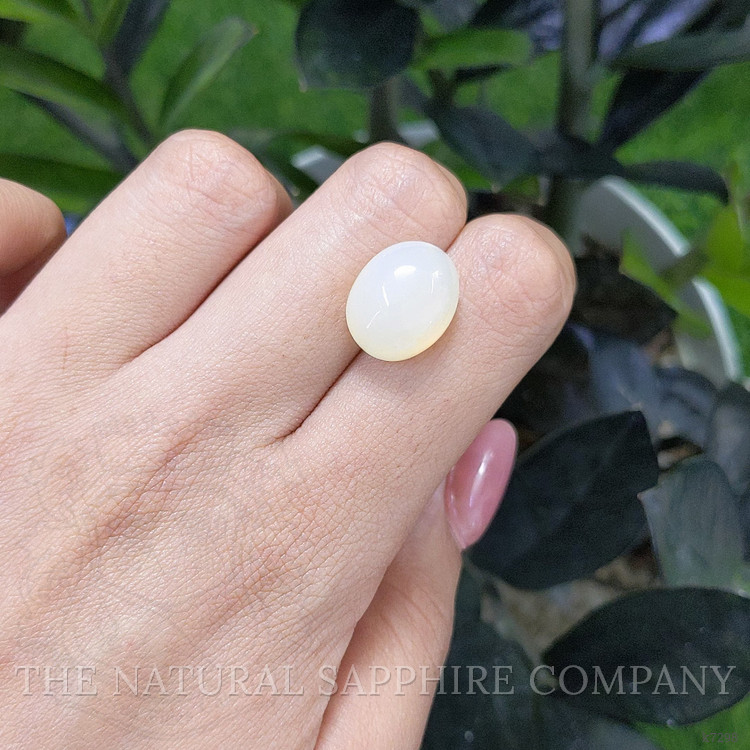 10.91 Ct. Cabochon Moonstone from Ceylon (Sri Lanka)