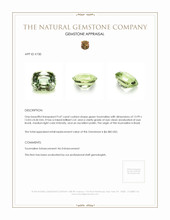 9.47 Ct. Tourmaline from Brazil Appraisal