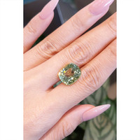 9.47 Ct. Tourmaline from Brazil Life Style