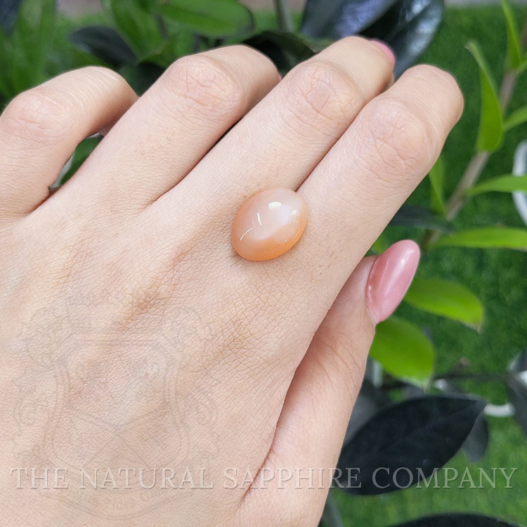 10.41 Ct. Cabochon Moonstone from Ceylon (Sri Lanka)