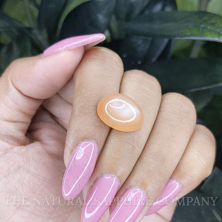 10.21 Ct. Cabochon Moonstone from Ceylon (Sri Lanka)