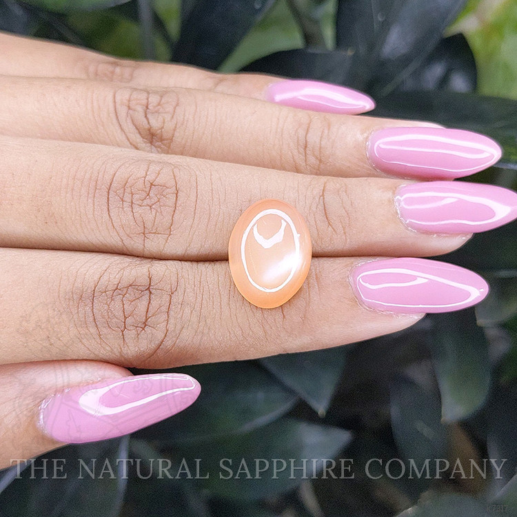 7.82 Ct. Cabochon Moonstone from Ceylon (Sri Lanka)