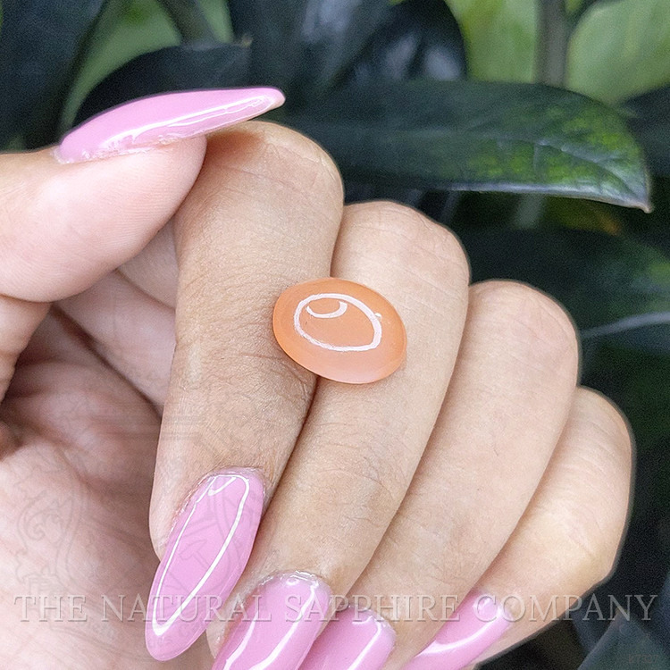 6.94 Ct. Cabochon Moonstone from Ceylon (Sri Lanka)