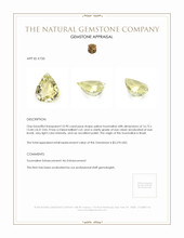 10.90 Ct. Tourmaline from Brazil Appraisal