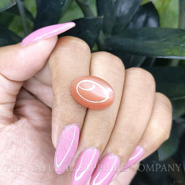 11.45 Ct. Cabochon Moonstone from Ceylon (Sri Lanka)