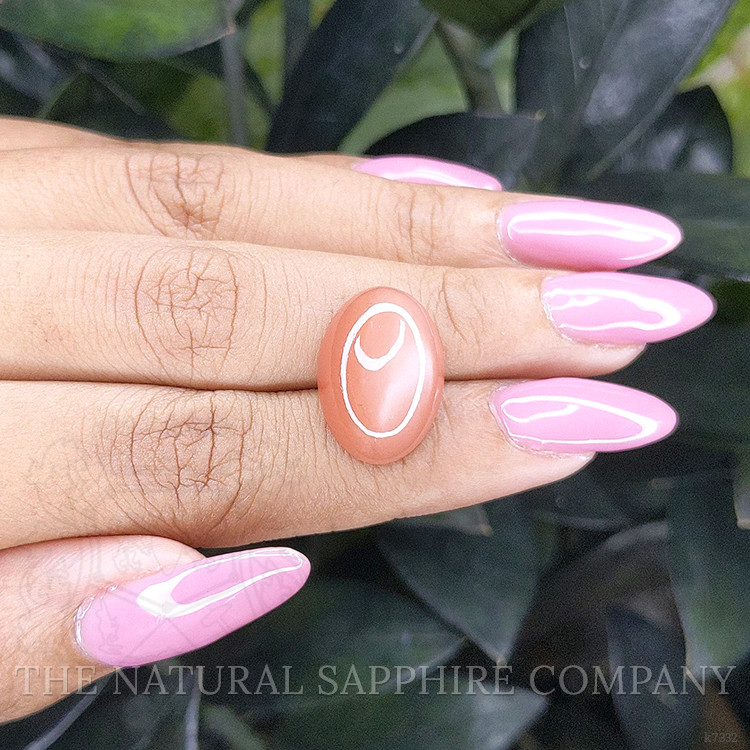 11.45 Ct. Cabochon Moonstone from Ceylon (Sri Lanka)