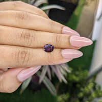 1.68 Ct. Spinel from Ceylon (Sri Lanka) Life Style