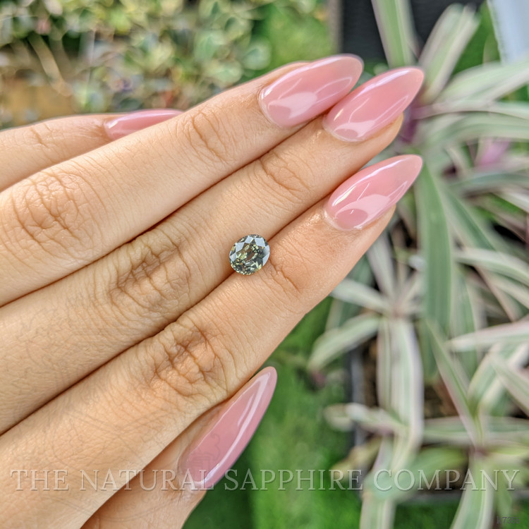 1.34 Ct. Zircon from Ceylon (Sri Lanka)