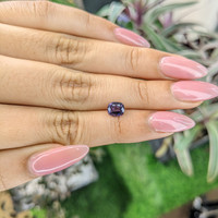 1.13 Ct. Spinel from Ceylon (Sri Lanka) Life Style