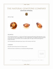 1.15 Ct. Hessonite Garnet from Ceylon (Sri Lanka) Appraisal