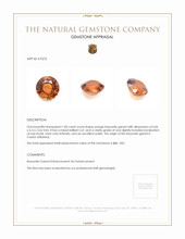 1.00 Ct. Hessonite Garnet from Ceylon (Sri Lanka) Appraisal