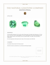 18.18 Ct. Tourmaline from Afghanistan Appraisal
