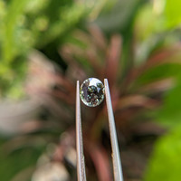 1.56 Ct. Alexandrite from Madagascar Life Style
