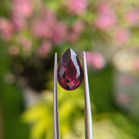 3.74 Ct. Garnet from Madagascar Life Style