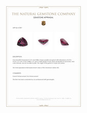 3.33 Ct. Purplish Red Garnet from Ceylon (Sri Lanka) Appraisal