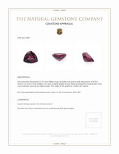 3.33 Ct. Garnet from Ceylon (Sri Lanka) Appraisal