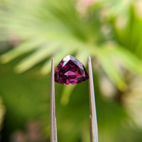 3.33 Ct. Garnet from Ceylon (Sri Lanka) Life Style