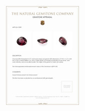 4.27 Ct. Garnet from Ceylon (Sri Lanka) Appraisal
