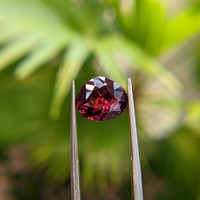 4.27 Ct. Garnet from Ceylon (Sri Lanka) Life Style