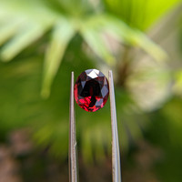 4.16 Ct. Garnet from Ceylon (Sri Lanka) Life Style