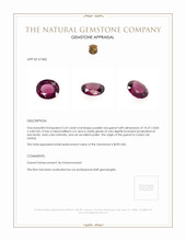 3.63 Ct. Garnet from Ceylon (Sri Lanka) Appraisal