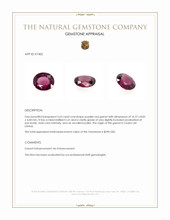 3.63 Ct. Purplish Red Garnet from Ceylon (Sri Lanka) Appraisal
