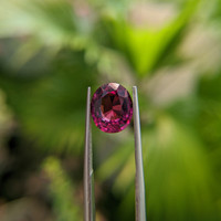 3.63 Ct. Garnet from Ceylon (Sri Lanka) Life Style