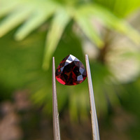 4.29 Ct. Garnet from Ceylon (Sri Lanka) Life Style