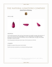 2.88 Ct. Pinkish Red Rubellite Tourmaline from Ceylon (Sri Lanka) Appraisal