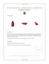 2.88 Ct. Rubellite Tourmaline from Ceylon (Sri Lanka) Appraisal