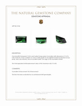 10.04 Ct. Green Tourmaline from Brazil Appraisal