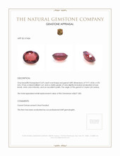 3.69 Ct. Garnet from Ceylon (Sri Lanka) Appraisal