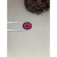 3.69 Ct. Garnet from Ceylon (Sri Lanka) Life Style