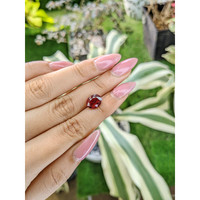 3.69 Ct. Garnet from Ceylon (Sri Lanka) Life Style