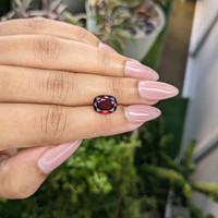 3.89 Ct. Garnet from Namibia Life Style