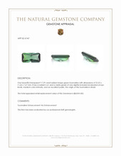 17.29 Ct. Green Tourmaline from Brazil Appraisal
