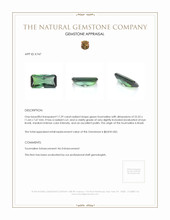 17.29 Ct. Tourmaline from Brazil Appraisal
