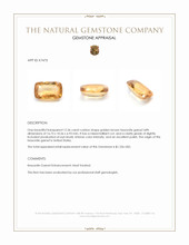 12.36 Ct. Golden Brown Hessonite Garnet from United States Appraisal