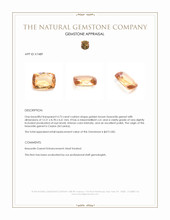 4.73 Ct. Golden Brown Hessonite Garnet from Ceylon (Sri Lanka) Appraisal