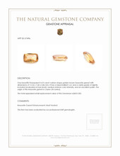 4.53 Ct. Golden Brown Hessonite Garnet from Ceylon (Sri Lanka) Appraisal