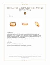 4.53 Ct. Hessonite Garnet from Ceylon (Sri Lanka) Appraisal