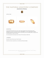 4.53 Ct. Hessonite Garnet from Ceylon (Sri Lanka) Appraisal