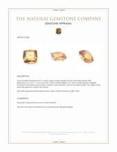 8.12 Ct. Golden Brown Hessonite Garnet from Ceylon (Sri Lanka) Appraisal