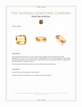 6.81 Ct. Hessonite Garnet from Ceylon (Sri Lanka) Appraisal