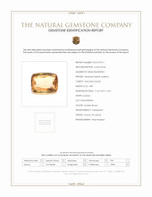 4.89 Ct. Hessonite Garnet from Ceylon (Sri Lanka) Scan Report
